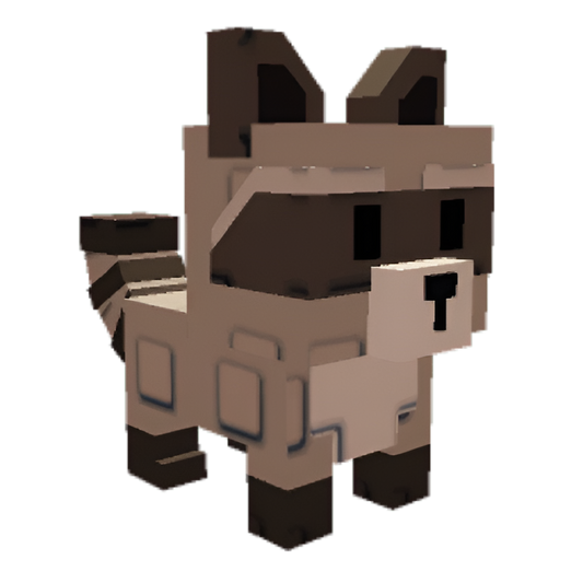 Raccoon